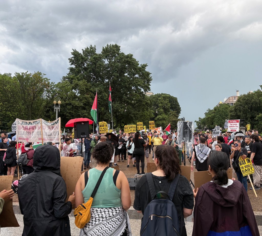 Speak Out for Palestine&nbsp;Now